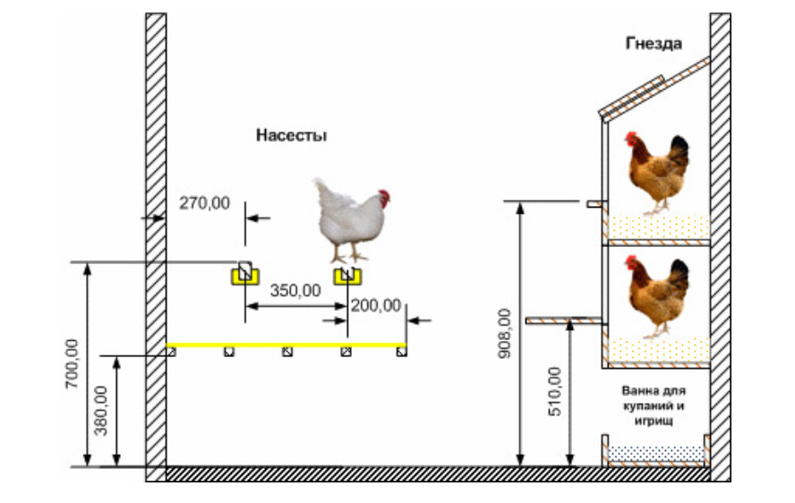 Требования к курятнику