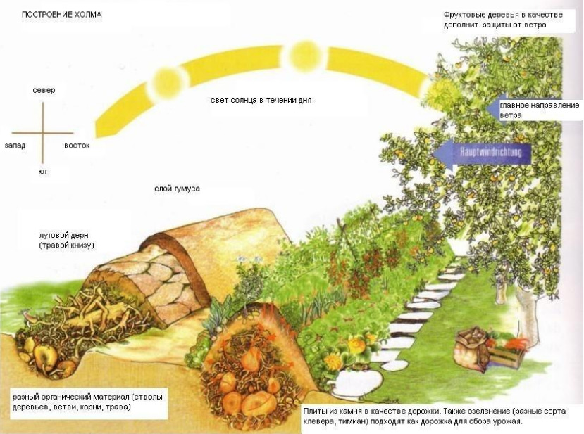 Схема грядки холм