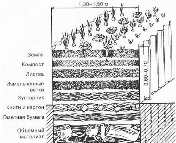 Схема расположения слоев почвы